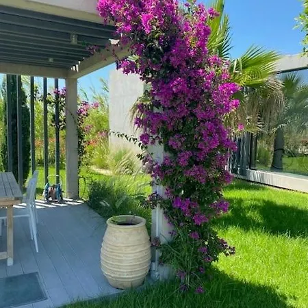 Villa Oasis Lamer Villas